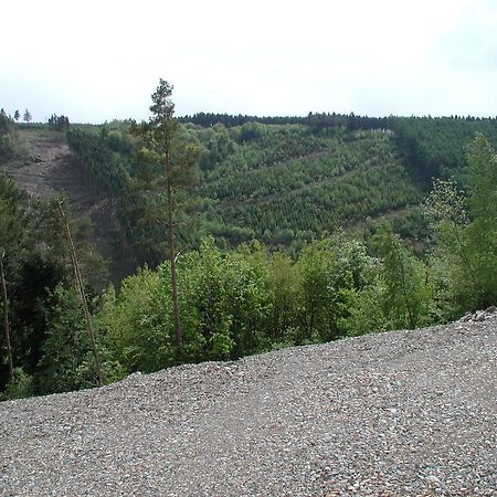 Willa Les Rochettes - Jupiter La-Roche-en-Ardenne Zewnętrze zdjęcie