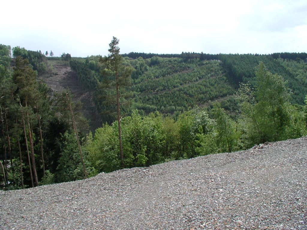 Willa Les Rochettes - Jupiter La-Roche-en-Ardenne Zewnętrze zdjęcie